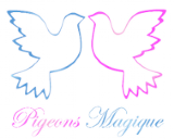 Pigeons Magique Gmbh